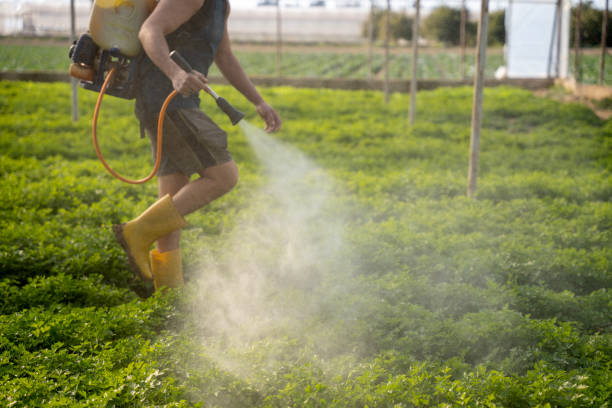 Best Residential Pest Control  in Stowell, TX