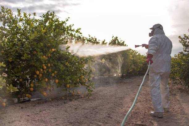 Professional Pest Control in Stowell, TX